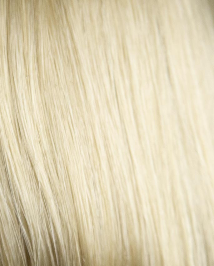 Парики LION WIG ONLY