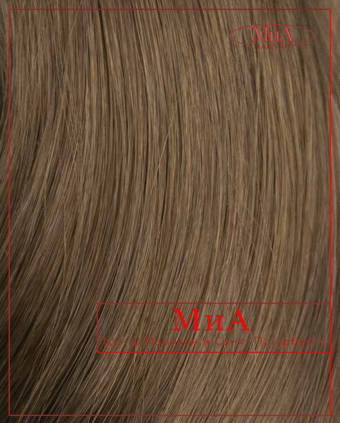 T 601 (12)