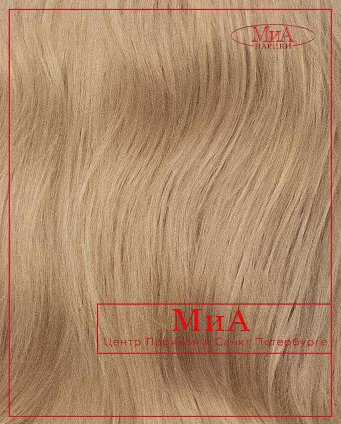 MIA 346 HH (Y 8/12/22)