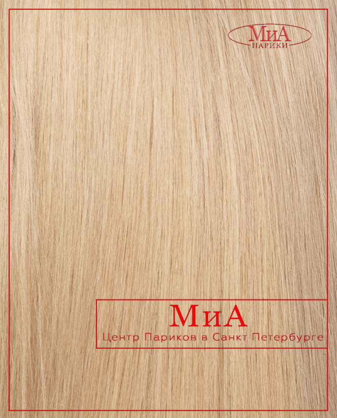 MIA 346 HH (Y 8/16/27)