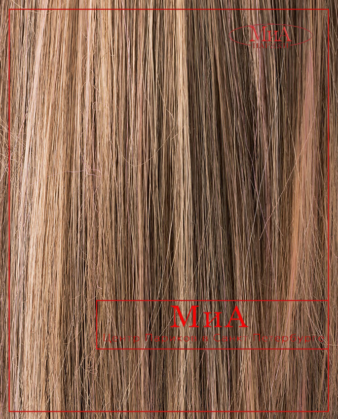 SERENA (chestnut/shad)