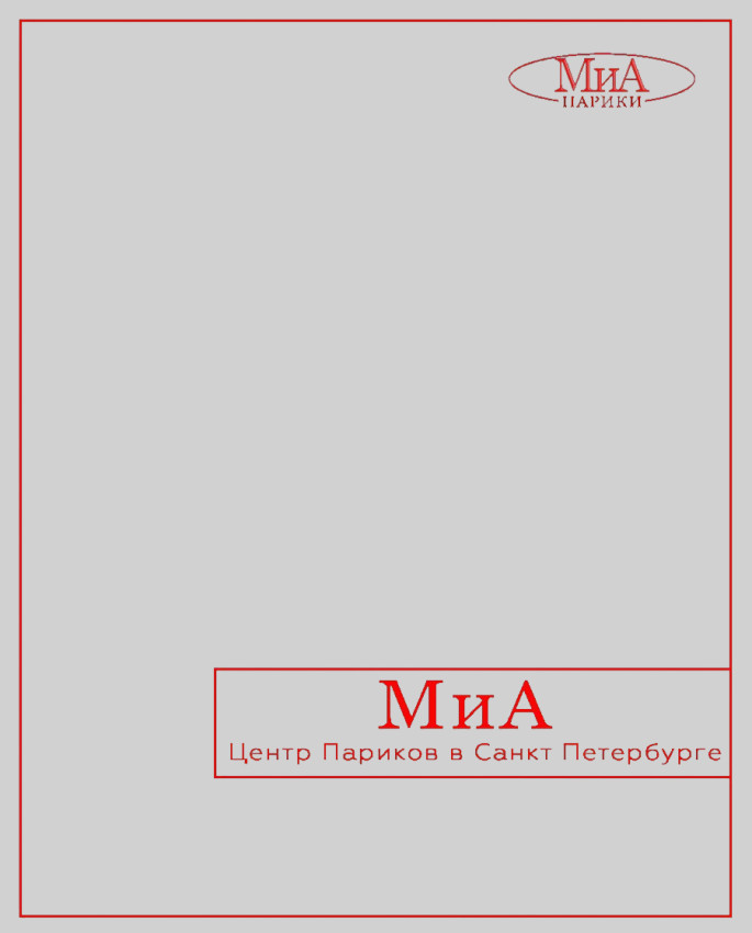 клипса, комплект 4 штуки. Стандартный размер. (стальной)