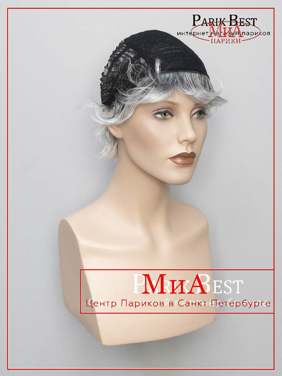 https://cdn1.ozone.ru/s3/multimedia-1-w/9799248308.jpg