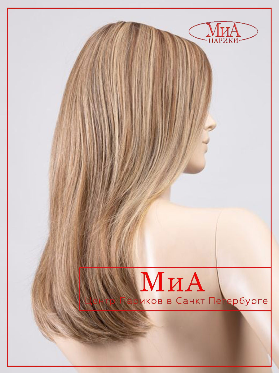 bernstein-multi-shad-