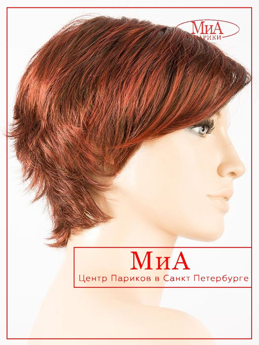 https://cdn1.ozone.ru/s3/multimedia-u/6622448934.jpg