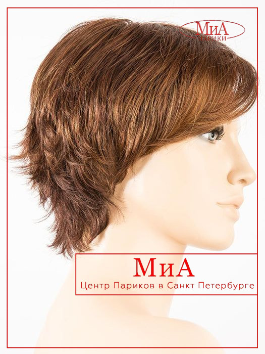 https://cdn1.ozone.ru/s3/multimedia-r/6622448931.jpg