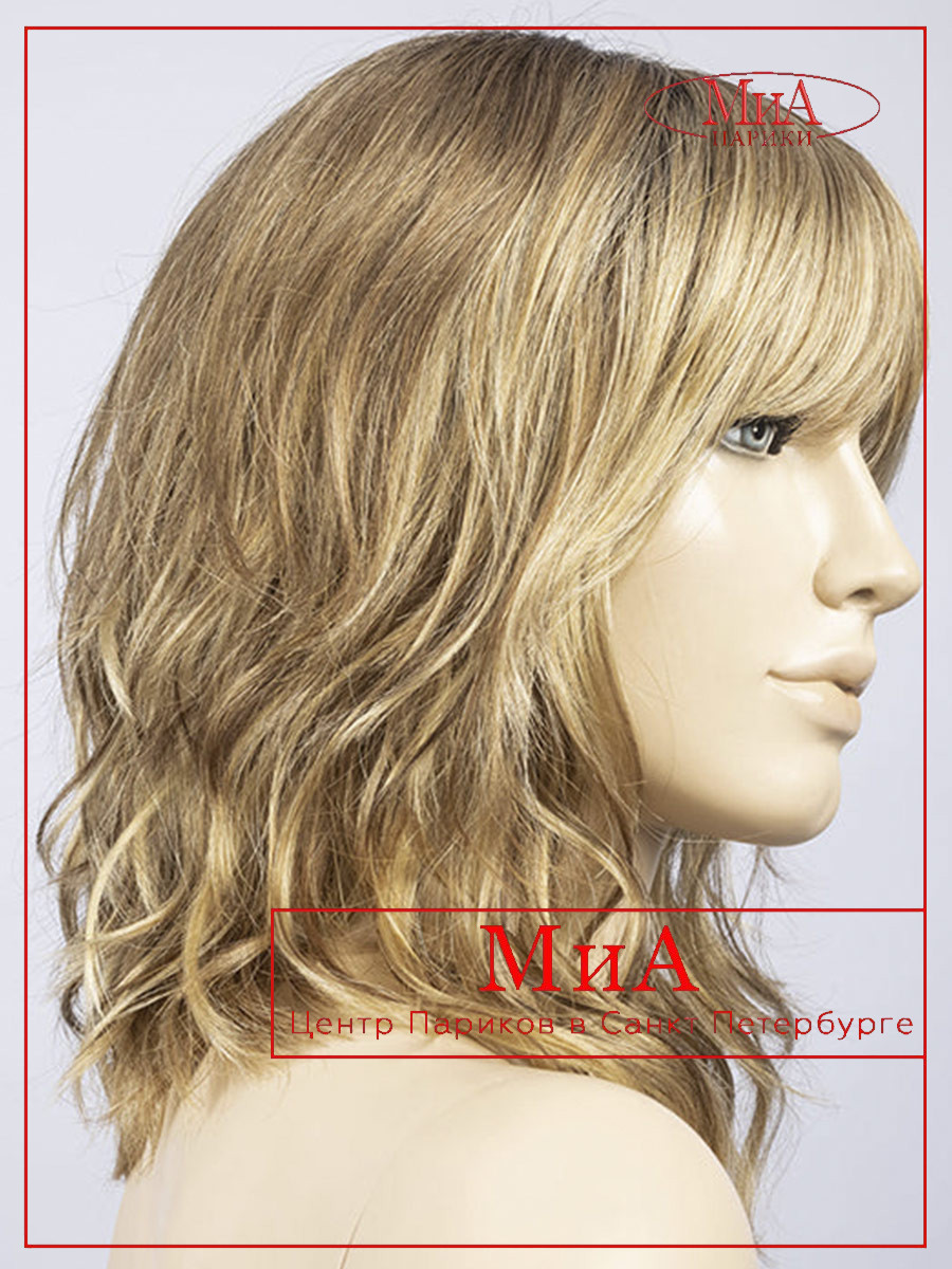 _bernstein-multi-shad