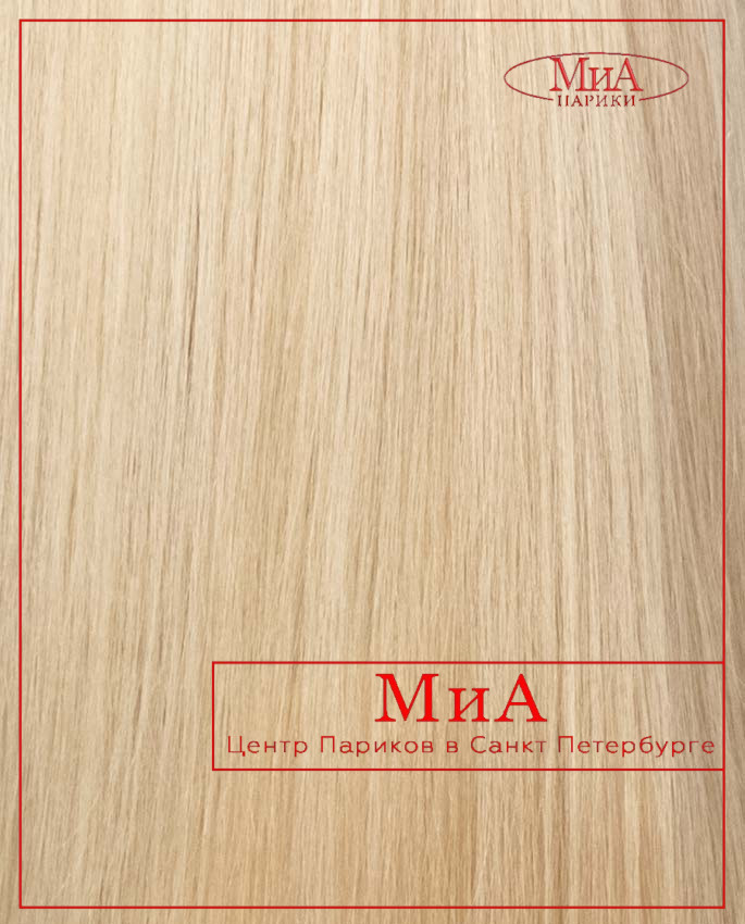 DIVA 352 HH (12/24)
