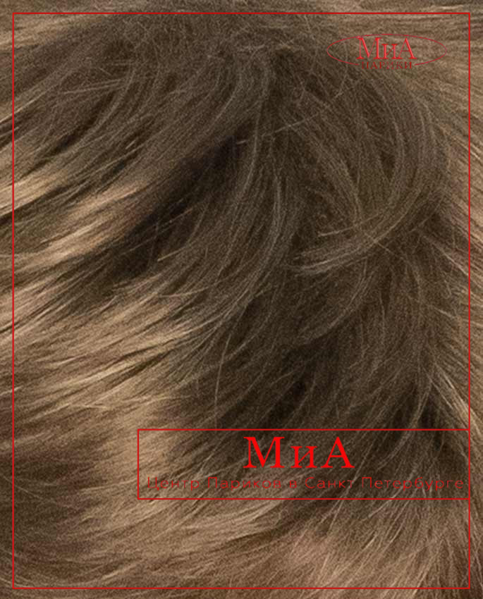 KIT (204)