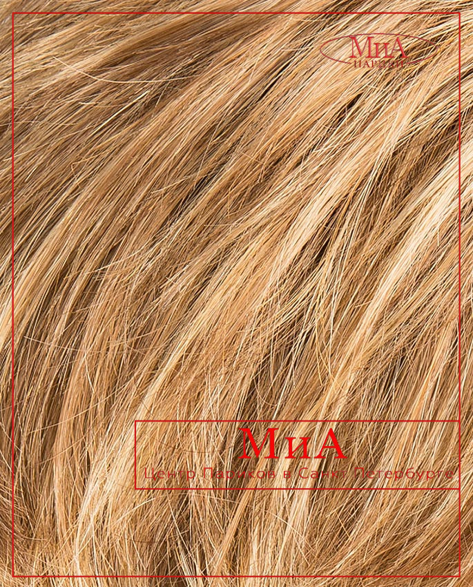 TOOL (ginger/rooted)