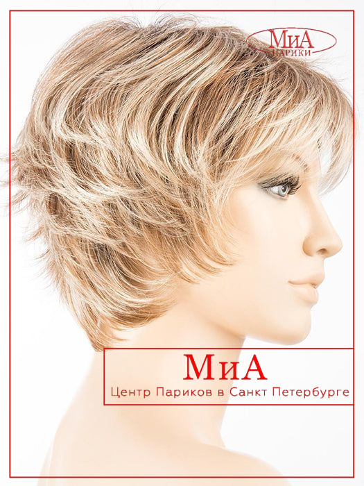 https://cdn1.ozone.ru/s3/multimedia-l/6833076033.jpg