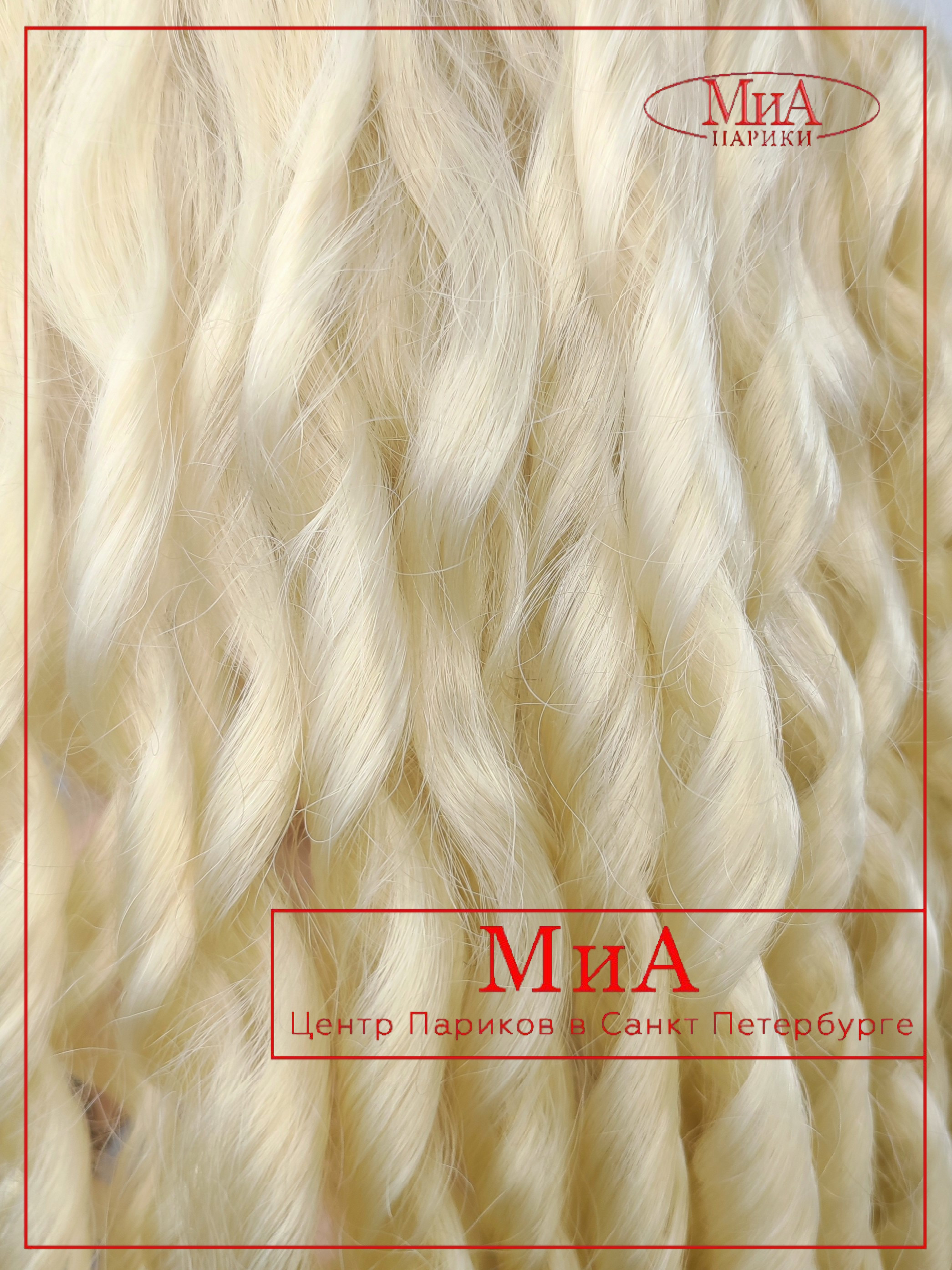 LION-WIG-ONLY-613-9-2