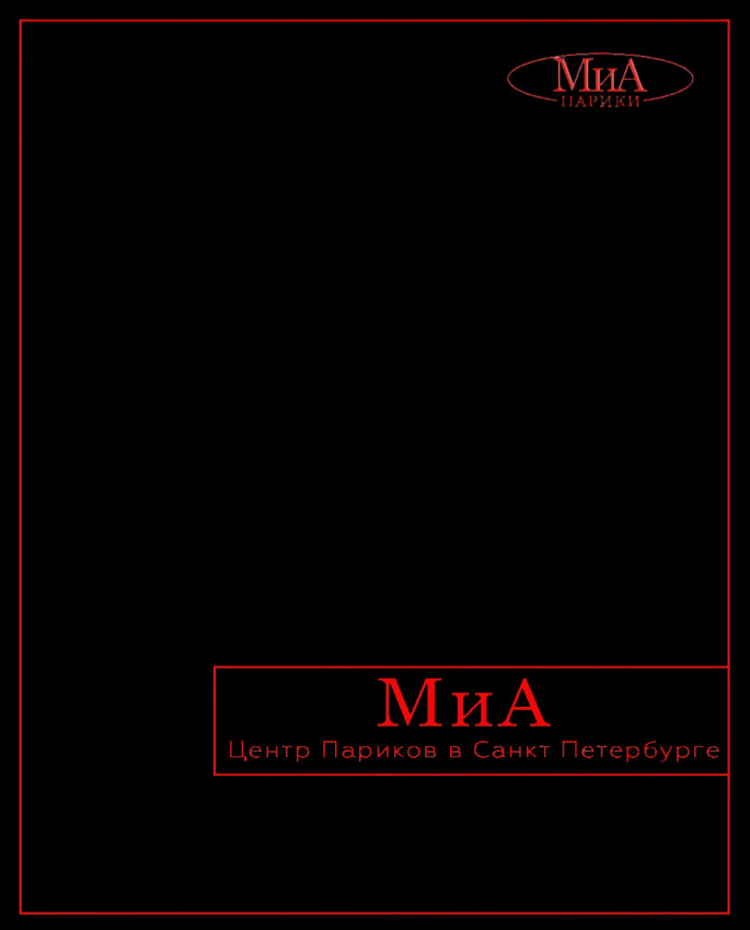 клипса, комплект 4 штуки. Стандартный размер. (черный)