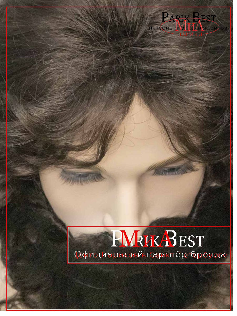 https://cdn1.ozone.ru/s3/multimedia-1-r/8460260523.jpg