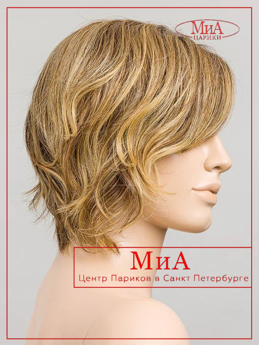 1cookie-mono-part-bernstein-rooted-bs_1024x1024